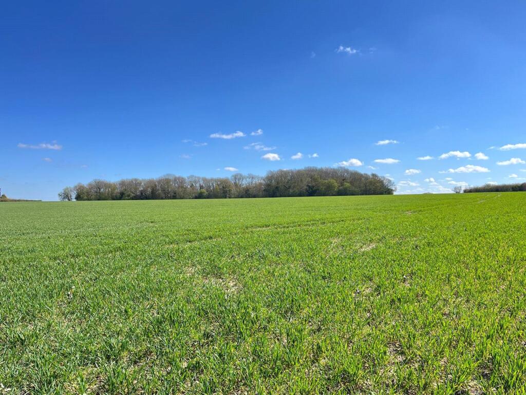 Dev Land - Leisure for rent in Hessett. From Lacy Scott & Knight - Bury St Edmunds